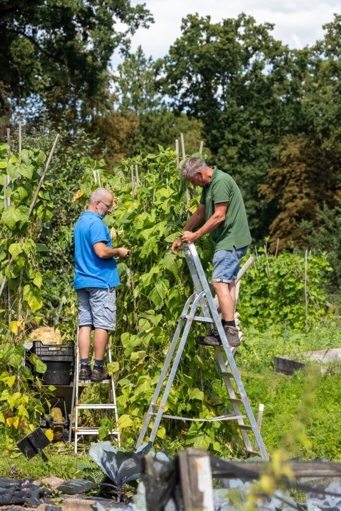 Pieter Struyk, Biologische tuinderij ’t Struykgewas
Fotografie: Westerduin